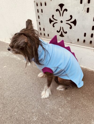 Dinosauriyeah  baby blau - magenta – Bild 3