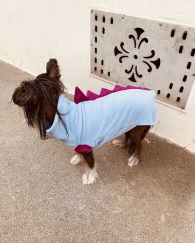 Dinosauriyeah  baby blau - magenta – Bild 2