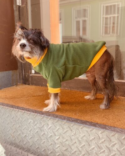 Fleece Pullover grün-gelb – Bild 2