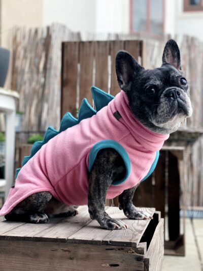 Dinosauriyeah! Individuell