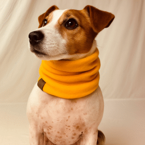 Snood Loop
