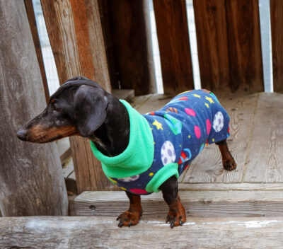 Bodywarmer Astro – Bild 3