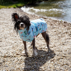 Regenjacke Alien