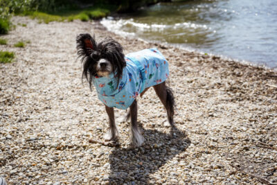 Regenjacke Alien