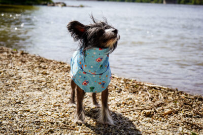 Regenjacke Alien – Bild 2