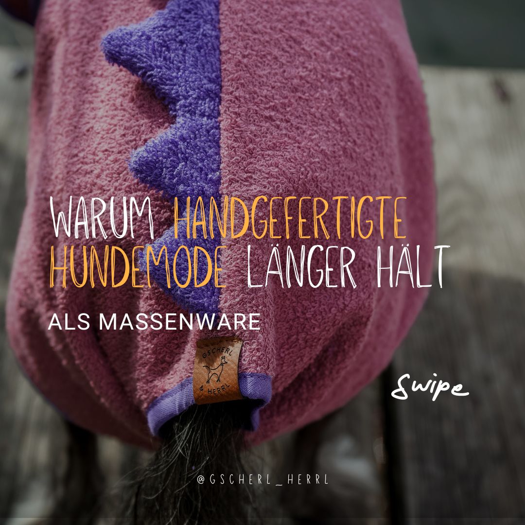 Entdecke die Vorteile handgefertigter Hundemode