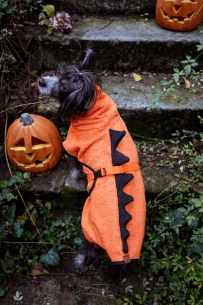 Halloweensaurus – Bild 3