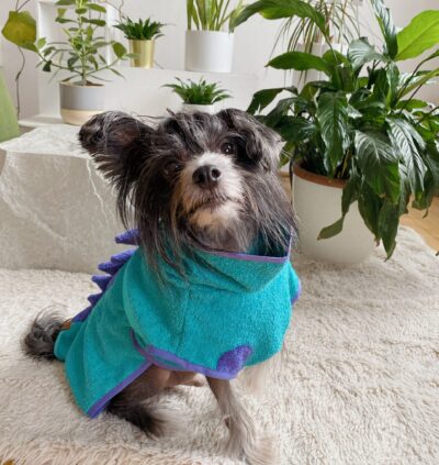 Sullysaurus – Bild 3