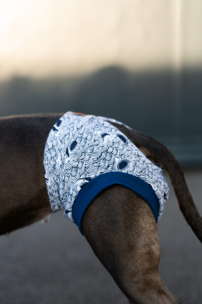 Pawfect Pants Haifisch – Bild 2