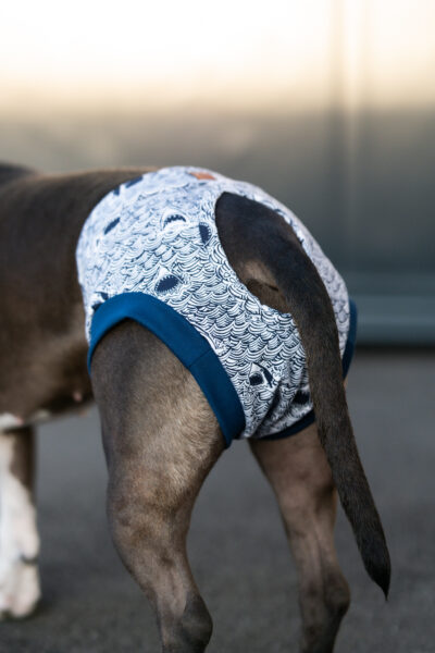 Pawfect Pants Haifisch – Bild 3