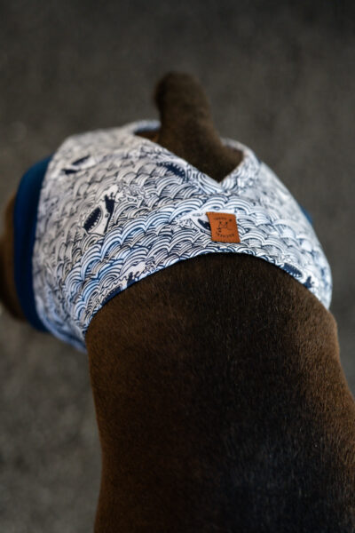 Pawfect Pants Haifisch – Bild 4